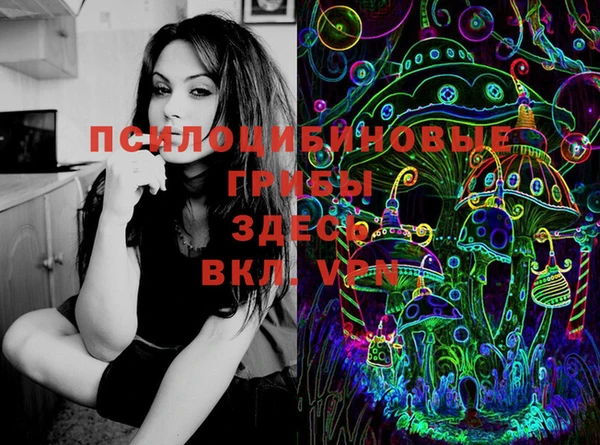 а пвп мука Алзамай