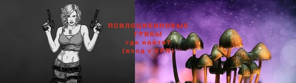меф Алексин
