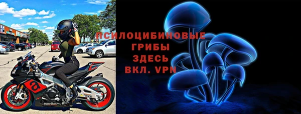 стафф Абаза